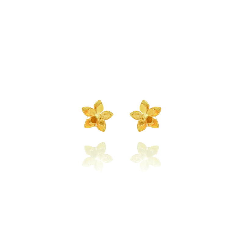 Guayacan Golden Stud Earrings
