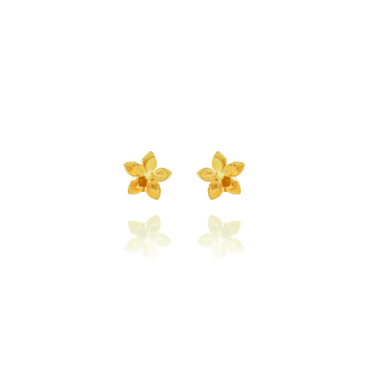 Guayacan Golden Stud Earrings