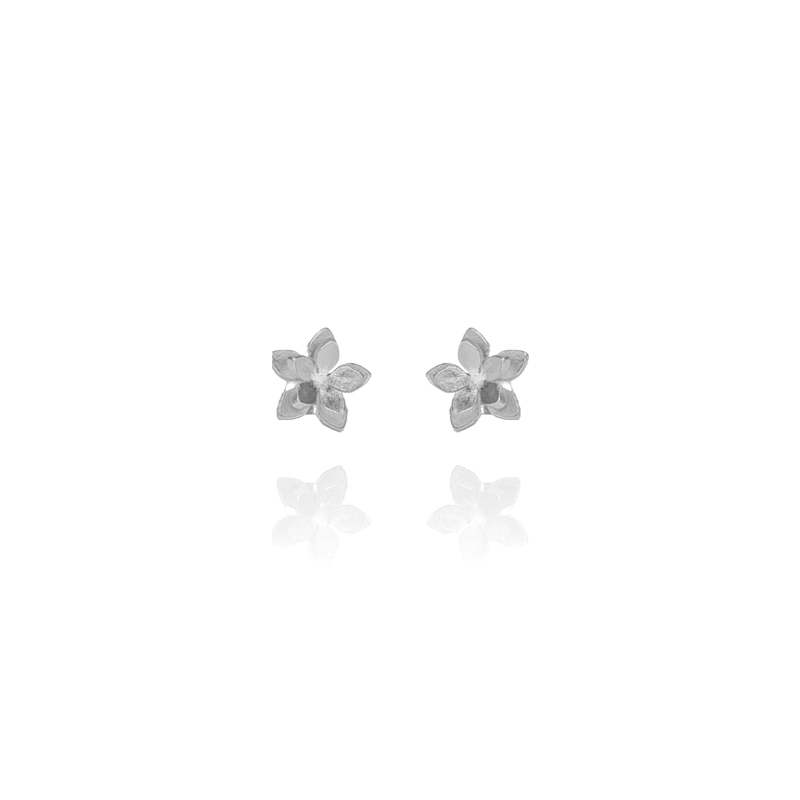 Guayacan Silver Stud Earrings