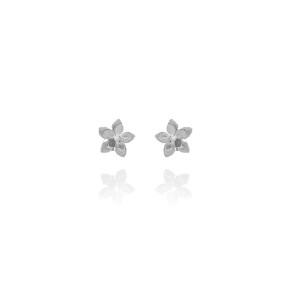 Guayacan Silver Stud Earrings